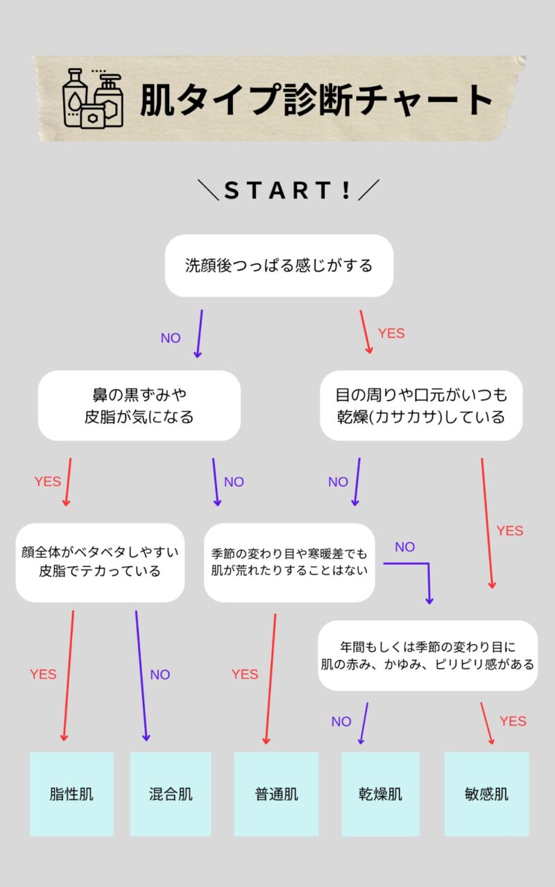 肌タイプ診断チャート